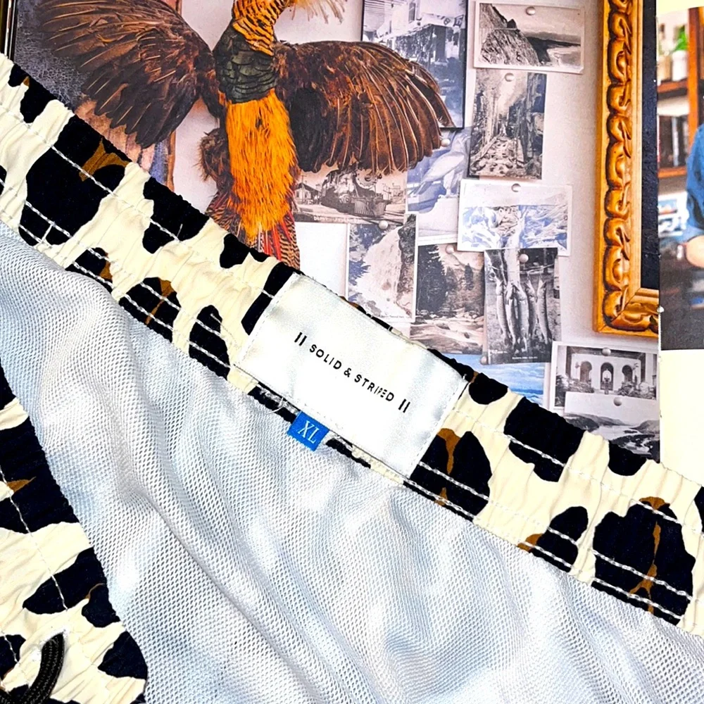 🐆 🩳 🐆 • ⚫️ Solid & Striped x Alpha Vibes 🟤 • 🩳🐆🩳